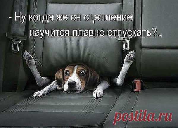 Водила, аккураааатней
