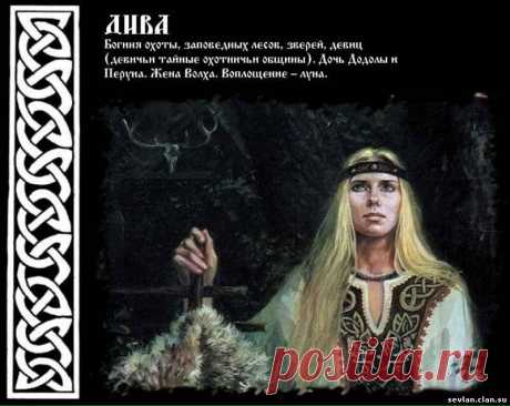РАСА