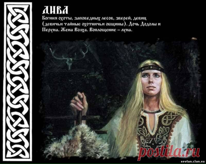 РАСА