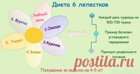 Диета 6 лепестков | Город женщин