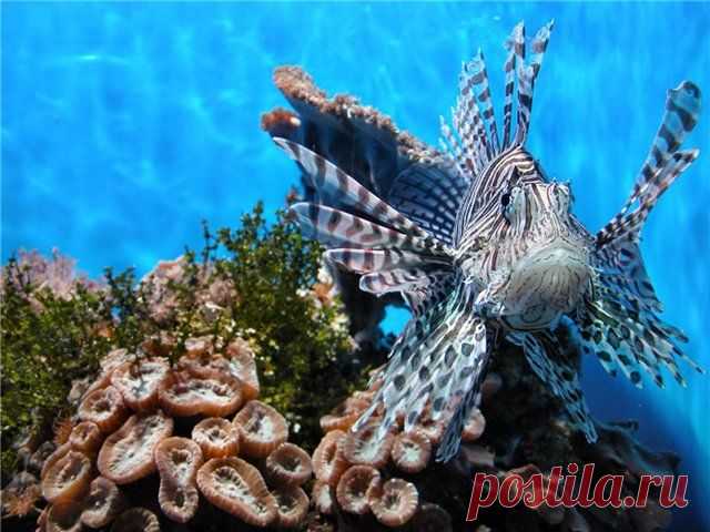 Посмотрите фотосессию моей подруги. Впечатляет...))