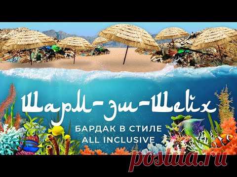 Шарм-эш-Шейх: русский Египет | Дайвинг, алкоголь и коллапс в аэропорту