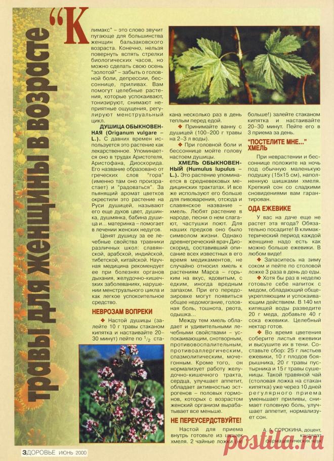 Травы для женщины в возрасте