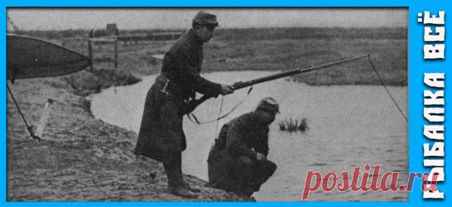 Почему в блокаду Ленинграда не ловили рыбу на Неве | Рыбалка Всё | Дзен
