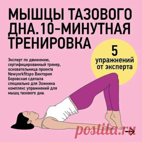 опущение матки симптомы и лечение в домашних: 1 тыс изображений найдено в Яндекс Картинках