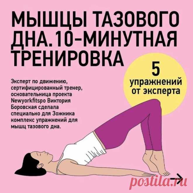 опущение матки симптомы и лечение в домашних: 1 тыс изображений найдено в Яндекс Картинках