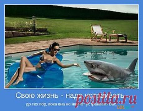 интересные фразы