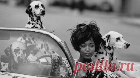 Фото: Наоми Кэмпбелл — 47 Наоми родилась в Лондоне, в модельный бизнес попала в 15 лет, в пятерку величайших супермоделей девяностых — в 20. Тогда, в 1990 году, журнал Vogue вышел с легендарной фотографией Питера Линдберга на обложке: на ней были самые красивые женщины мира — Линда Евангелиста, Синди Кроуфорд, Татьяна Патиц, Кристи Терлингтон и Наоми Кэмпбелл. Девяностые были ее временем — потому что были временем ярких женщин. В 1991-м она стала первой...