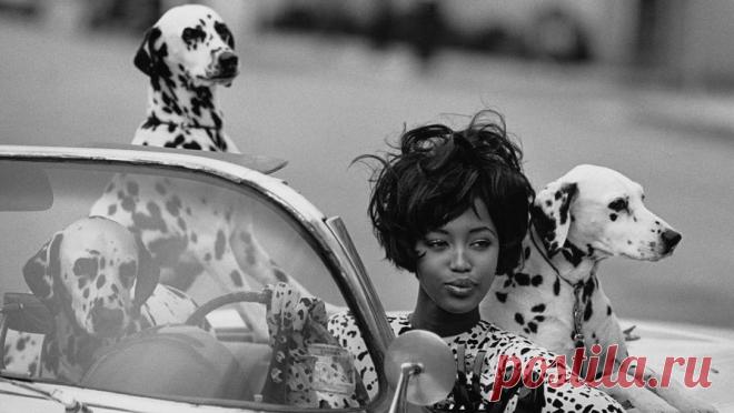 Фото: Наоми Кэмпбелл — 47 Наоми родилась в Лондоне, в модельный бизнес попала в 15 лет, в пятерку величайших супермоделей девяностых — в 20. Тогда, в 1990 году, журнал Vogue вышел с легендарной фотографией Питера Линдберга на обложке: на ней были самые красивые женщины мира — Линда Евангелиста, Синди Кроуфорд, Татьяна Патиц, Кристи Терлингтон и Наоми Кэмпбелл. Девяностые были ее временем — потому что были временем ярких женщин. В 1991-м она стала первой...