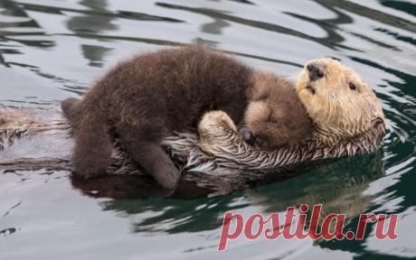 Фотоподборка за 08.11.2016