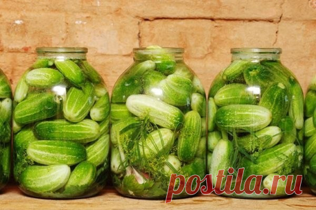 Незабывемые на вкус огурчики в пражской заливке