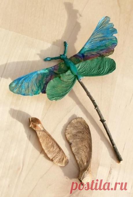 Dragonfly made from maple tree seeds....