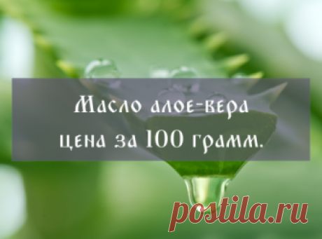 Масло алоэ-вера свойства и применение, купить — Золотая горка