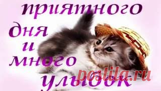 Мобильный LiveInternet Элегантный жакет с коротким рукавом | -MALEFISENTA- - MALEFISENTA |