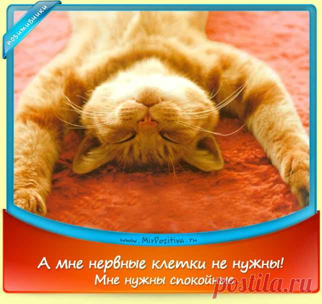 Летние позитивчики!