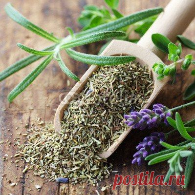 Эфирные масла ♡ ароматерапия ✔          МАГИЧЕСКИЕ СВОЙСТВА ТРАВ