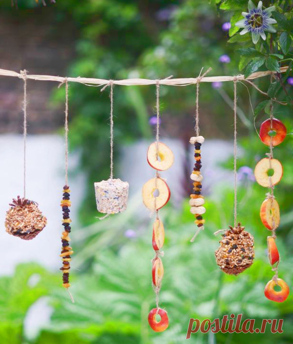 Делаем кормушки для птиц своими руками с детьми — Все для развития ребенка