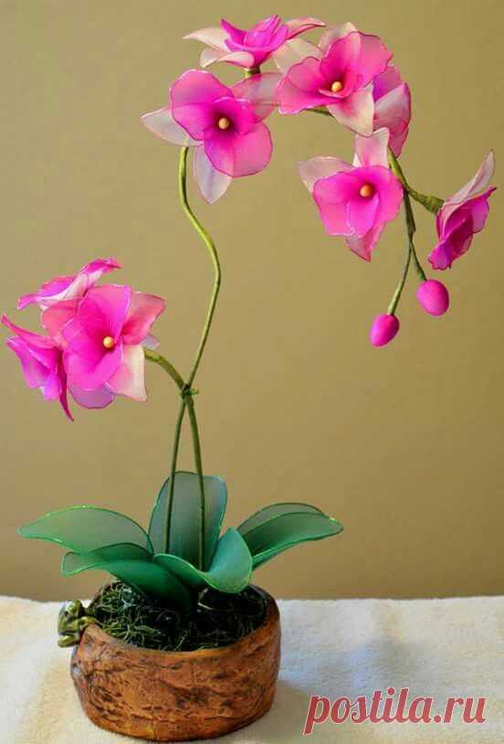 (673) Pinterest