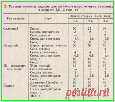 Выращивание и откорм молодняка (бычков) | Я-фермер.RU