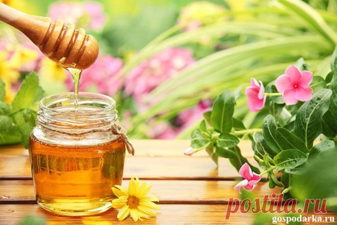 Первая помощь при мелких неприятностях: натуральные средства | Господарка.Ru