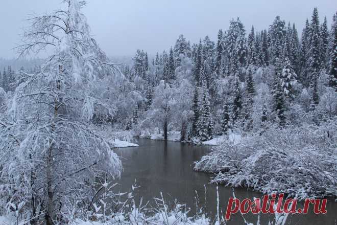 ФОТОМАСТЕРСКАЯ ПРИРОДЫ
Панов Александр