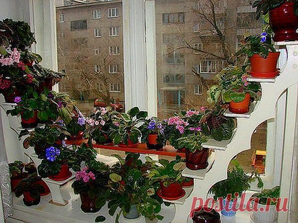 Этажерка для цветов: «дом» для растений и украшение для интерьера