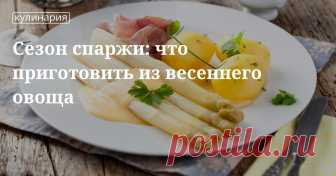 Как правильно готовить спаржу: пошаговые рецепты салатов и других блюд Хотите разнообразить свое меню, добавив в него сезонные овощи? Мы подготовили подборку пошаговых рецептов приготовления блюд со спаржей: салаты, супы, сэндвичи и многое другое.