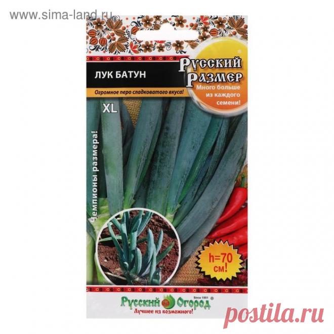 Лук батун русский размер Огород без хлопот - информационный сайт для дачников, садоводов и огородников.