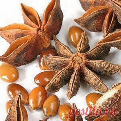 Живительный аромат аниса