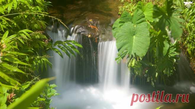 Akaka-Falls-174558.jpg (936×526)