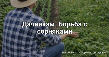 Дачникам. Борьба с сорняками Борьба с сорняками — это не просто дачная работа, а целая философия! ⠀Я провожу на даче медитацию. Сижу, смотрю на сорняки, принимаю их как часть экосистемы…⠀А потом всё равно лезу их полоть с криком: Прочь с моей земли! 😄 Дачник — это человек, который сначала любит...