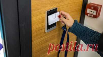 В Минцифры анонсировали планы запуска цифрового студенческого билета в 2024 году. В Минцифры России рассказали, что в 2024 году на портале госуслуг планируют запустить электронные студенческие билеты. Это упростит студентам российских вузов сбор документов для получения различных льгот. Читать далее
