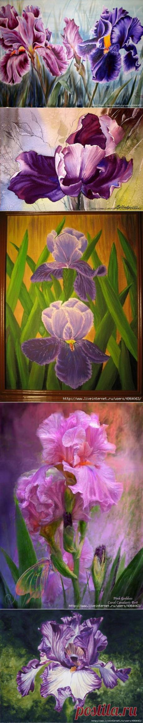 Ирисы.