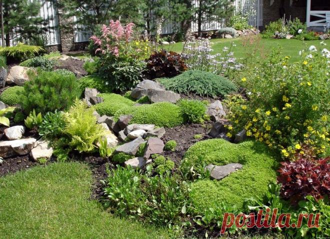 АЛЬПИЙСКАЯ ГОРКА | Самоцветик