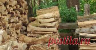 На этой картинке затаилась кошка, а вы сможете её найти? Практически все дети любят играть в прятки. Оказывается, некоторым животным тоже нравится прятаться от чужих глаз. Причем делают они это настолько искусно, что остаются практически незаметными, находя...