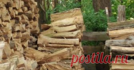 На этой картинке затаилась кошка, а вы сможете её найти? Практически все дети любят играть в прятки. Оказывается, некоторым животным тоже нравится прятаться от чужих глаз. Причем делают они это настолько искусно, что остаются практически незаметными, находя...