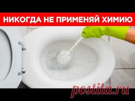 ⚫ ИДЕАЛЬНО ЧИСТЫЙ УНИТАЗ БЕЗ ХИМИИ. Как отмыть унитаз?