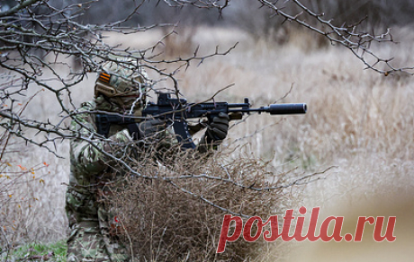 Прозоров: за ВС РФ воюют экс-военные Украины в батальоне Кривоноса. Бывший сотрудник Службы безопасности Украины отметил, что это подразделение не испытывает проблем с пополнением своих рядов
