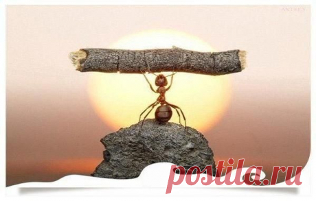 Кто хочет — ищет способ, кто не хочет — ищет причину.

Сократ