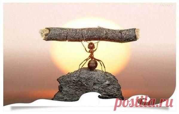 Кто хочет — ищет способ, кто не хочет — ищет причину.

Сократ