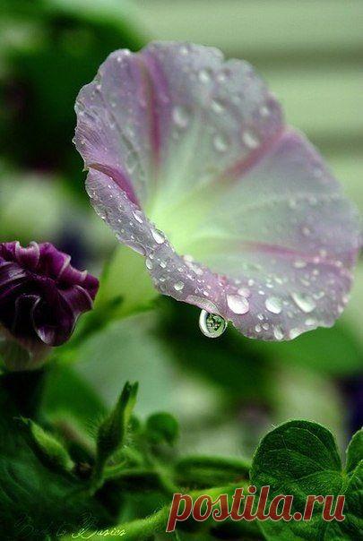 s6AR_u8gwJE.jpg (405×604)