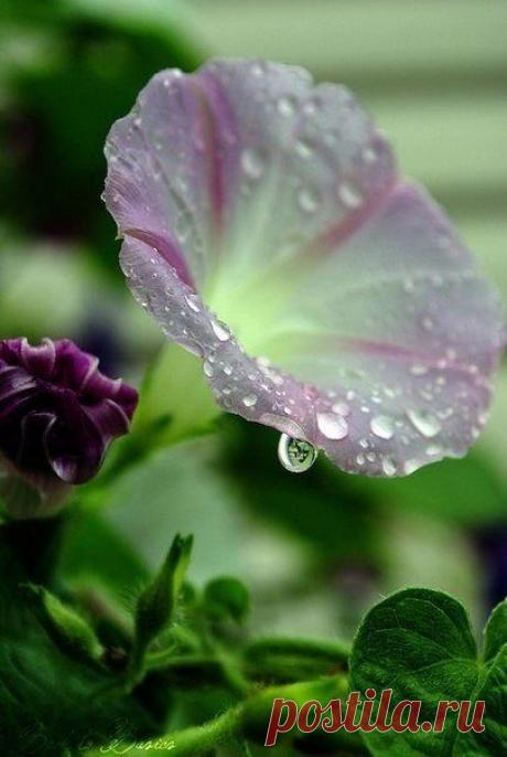 s6AR_u8gwJE.jpg (405×604)