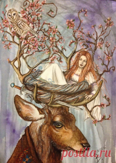 Школа рисования "Беркана"