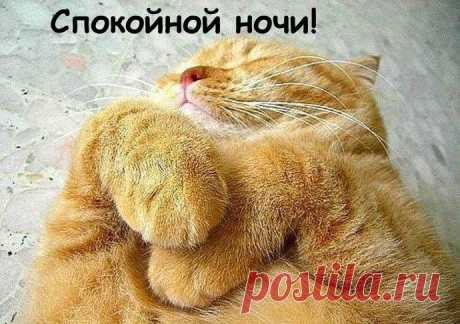 Пожелание спокойной ночи и сладких снов девушке в картинках — красивые анимированные и мерцающие 33 картинки ⭐ Забавник