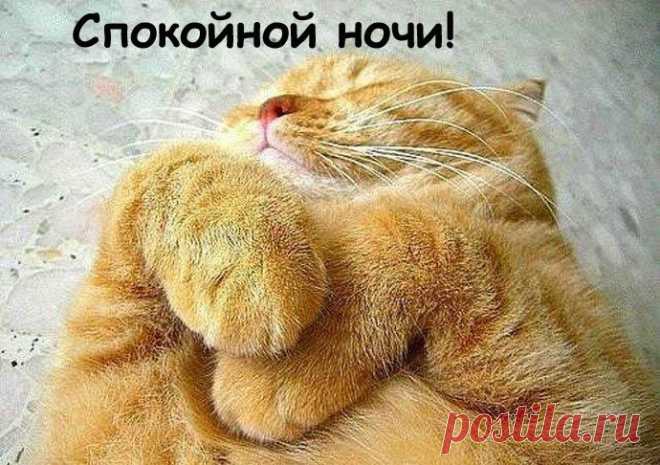 Пожелание спокойной ночи и сладких снов девушке в картинках — красивые анимированные и мерцающие 33 картинки ⭐ Забавник