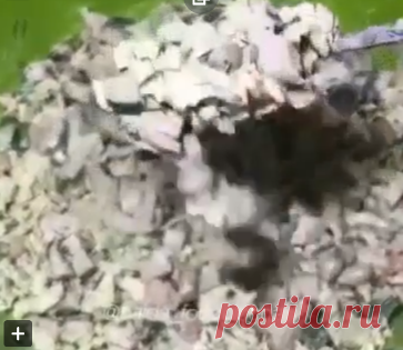 Салат с копченой курицей и пекинской капустой