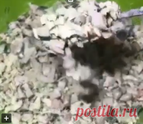 Салат с копченой курицей и пекинской капустой