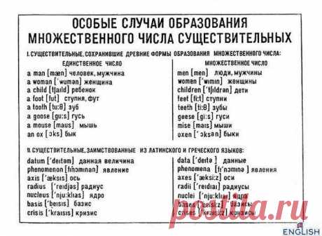 Английский язык            Особые случаи образования множественного числа.
*В таблице опечатка: вместо 'mise' должно быть 'mice'