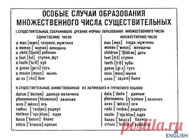 Английский язык            Особые случаи образования множественного числа.
*В таблице опечатка: вместо 'mise' должно быть 'mice'