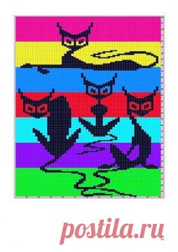 74459224_large_Portrait_of_Cat_0041 - Эвелина Игоревна Жестовских